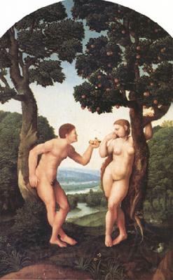 Jan van Scorel adam and Eve (nn03) Germany oil painting art